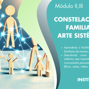 Bloque 2: Principios sistémicos y temáticas clave.